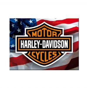 Harley Davidson American Flag