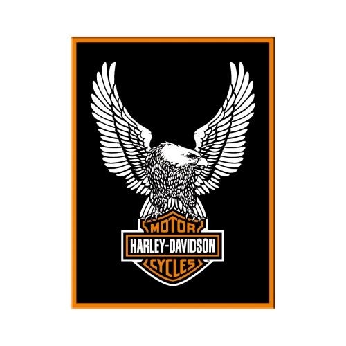 Harley Davidson Eagle