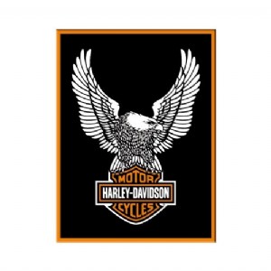 Harley Davidson Eagle