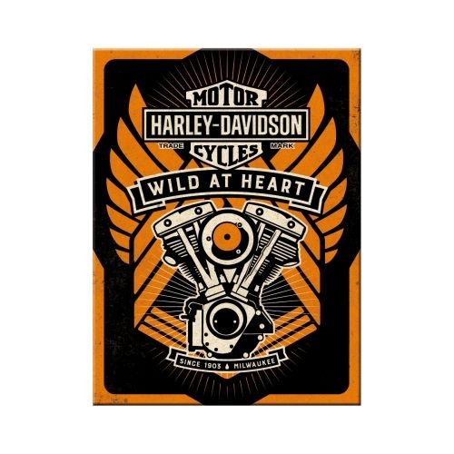 Harley Davidson Engine