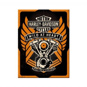 Harley Davidson Engine
