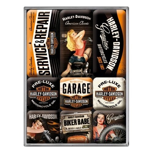 Harley Davidson Service and Repair