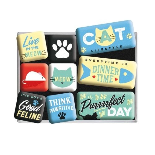 Cat Lifestyle